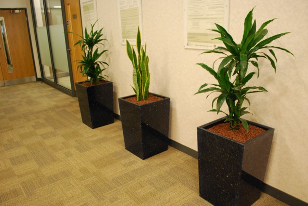 office plant displays made from recycled cd's and cd cases